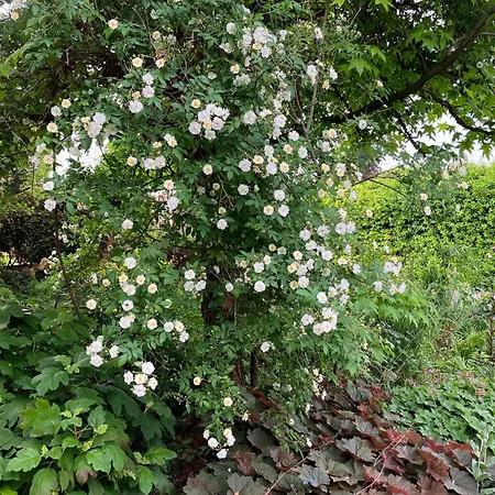 Boutique Casa Angela أوديني