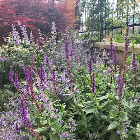 Boutique Casa Angela شقة