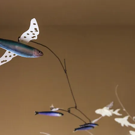 Boutique Casa Angela Appartement *