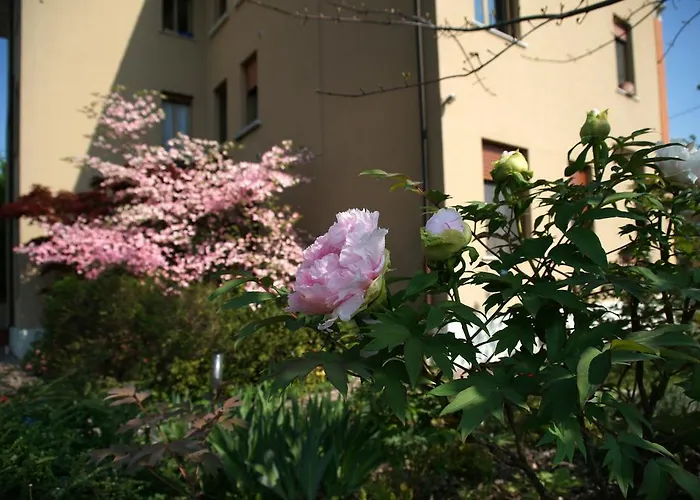 Boutique Casa Angela Appartement *